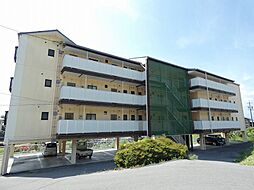 ハイツオネシス 203