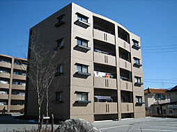 ガーデンハイム樗3番館 202