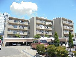 シャンボールみわ