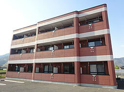 サニーコート 202