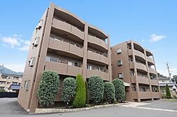 ルミエール常入 301