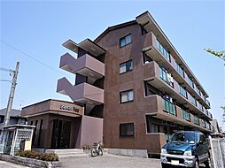 セゾンフルール 305