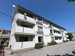 カサロッサ 101