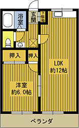 ドエル小中島 202