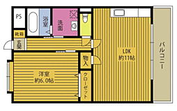 アベニュー千 502