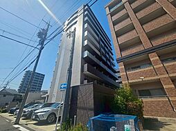 RAFFLE OZONEII -South Garden-