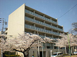 メイビル向陽町（本館）