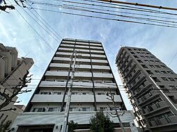 プロシード金山