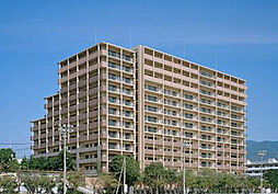 アルファステイツ広公園