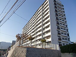 五日市ヒューマンズ