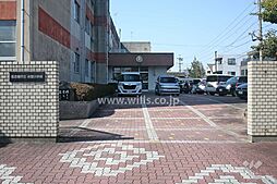 円上アイリス