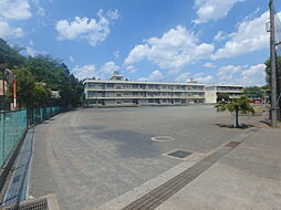 相模原市南区西大沼2丁目