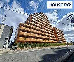 ネオハイツ並木II　7階