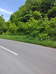 余市郡赤井川村字富田の土地