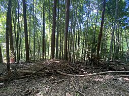 筑紫野市大字原田売地