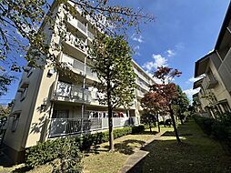 三郷早稲田団地３−４−２号棟 １０４