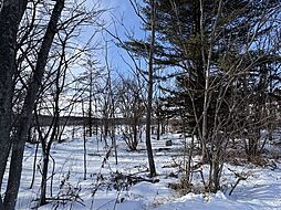 鹿追町鹿追基線　売土地(2)