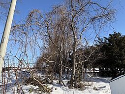 鹿追町鹿追基線　売土地(1)