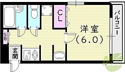 ステラハウス5