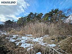 売土地　鮫町