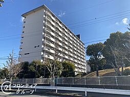 向島ニュータウン第三街区F棟　中古マンション