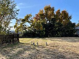 大田区田園調布4丁目 土地