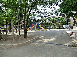 南道路「深沢Selection」