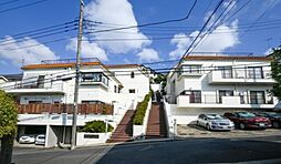 コスモテラス菊名