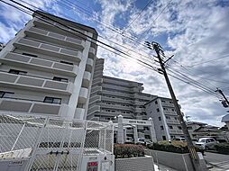 アムール和白III