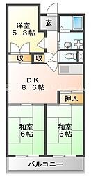 コートロイヤル