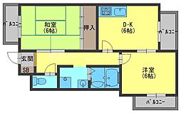 シャルマン錦