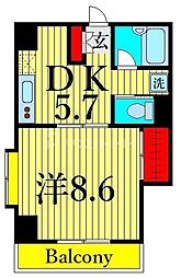 サンフラワー第6