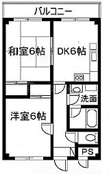 モア・グレイス