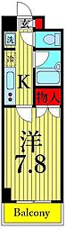 サンフラワー第6