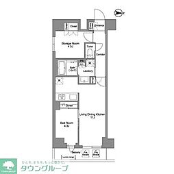ＬｕｍｉＣｏｕｒｔ　ＭＩＴＡＫＡ 204
