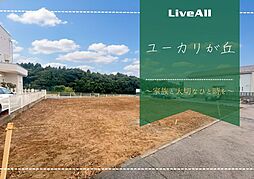 佐倉市ユーカリが丘1　土地
