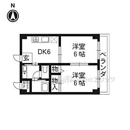 樹庭夢　幹 308