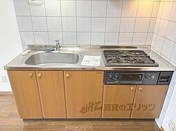 南丹市八木町八木鹿草