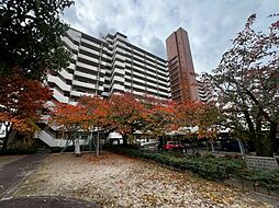 ファミリートーク新北島