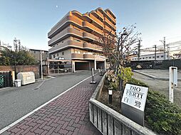 ディオ・フェルティ白鷺