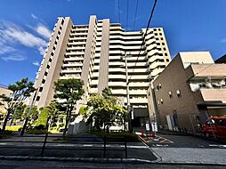アデニウム北加賀屋