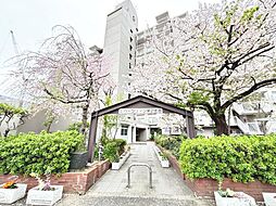エバーグリーン第２住吉