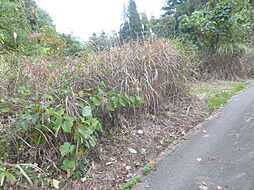 魚津市大字六郎丸村鷹休場　土地