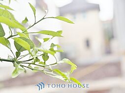 杉並区成田東312