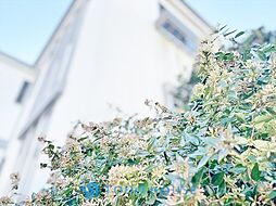 杉並区桃井1丁目　中古戸建