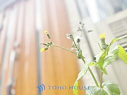 豊島区東池袋4丁目　中古戸建