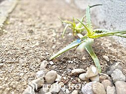 北区豊島6丁目中古戸建　2号棟