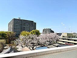 若木原公園サニーハイツ