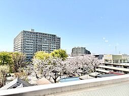 若木原公園サニーハイツ