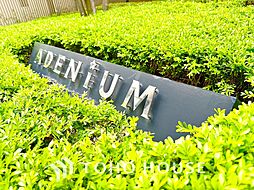 アデニウム東神田